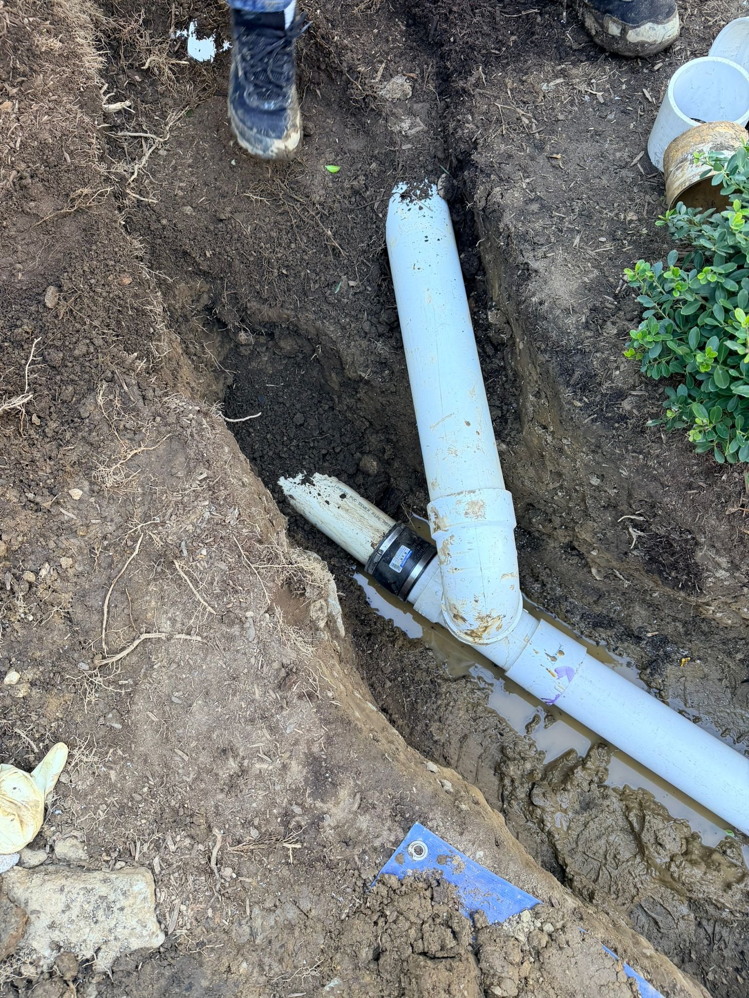 Shower/ Tub Drain